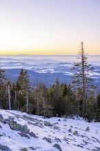 View from Mount Lusen over the hills of the bavarian forest at sunrise in winter, Bavaria, Germany