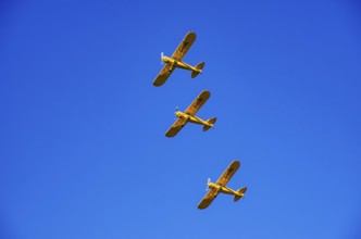 Three Piper PA-18 Super Cub aircraft from the Bravo Lima Formation flying group in formation flight