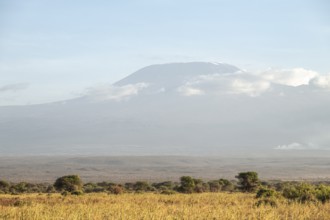African savanna and summit of Mount Kilimanjaro, in the evening light, Kajiado County, Kenya