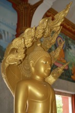 Detail of statue of Buddha in Wat Chalong pilgrimage site, Wat Chaithararam, Phuket province,