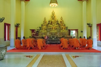 Buddhist monks in the prayer hall pray while praying in front of golden statues of Buddha in