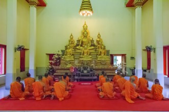 Buddhist monks in prayer hall pray while praying in front of golden statues of Buddha in temple,