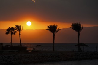 Atmospheric sunset view with four palm trees of Aqaba Jordanian shore east coast from across Red