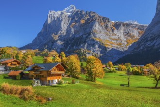 Typical rural and holiday homes with Wetterhorn 3690m in autumn, Grindelwald, Lütschinental,