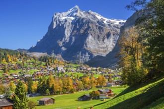 Autumn landscape with village overview and Wetterhorn 3690m, Grindelwald, Lütschinental, Bernese