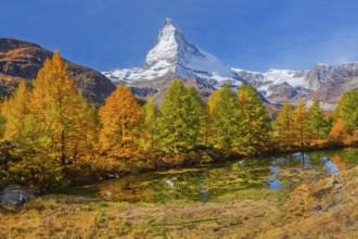 Matterhorn 4478 m above Lake Grindji in autumn, Zermatt, Mattertal, Valais, Switzerland