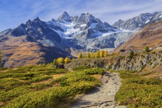 Autumn landscape on the Sunnegga with Zinalrothorn 4221m, Zermatt, Mattertal, Valais, Switzerland