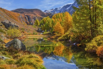 Grindjisee on the 5-lake hiking trail in autumn, Zermatt, Mattertal, Valais, Switzerland