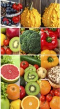 Food collage of various biological and organic fruits and vegetables, fresh healthy lifestyle, with