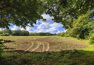 Cultural landscape, Sonnenberg municipality, Oberhavel district, Brandenburg, Germany