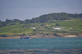 Green hills and trees next to a calm blue sea under cloudy sky, Isles of Scilly, Cornwall, United