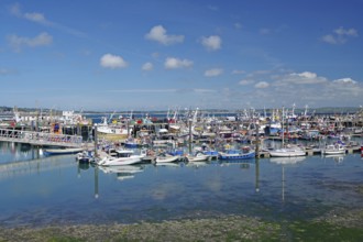 Full harbor with numerous boats, calm in the sea under sunny, blue sky, Mousehole, Cornwall, Great