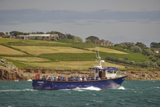 Blue passenger liner sails along a green coastline, Land's End, Cornwall, Great Britain