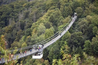 Suspension bridge, Titan RT rope bridge over the Rappbode dam in the Harz Mountains, Saxony-Anhalt,