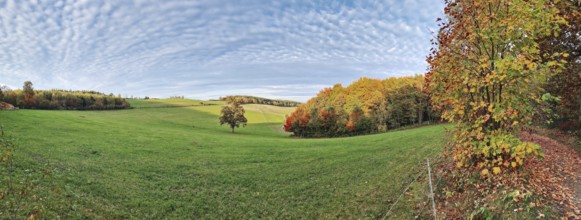 Wide panoramic view with green meadow and colorful autumn forest, Siegen