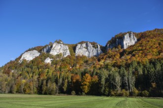 View across the Danube to the distinctive Hausener Zinnen, climbing rocks, Jurassic limestone