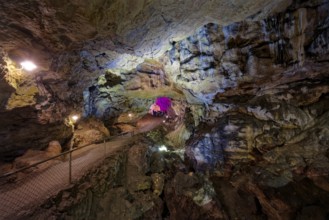 Nebelhöhle, stalactite cave in the Swabian Jura, stalactites, stalactite forest, interior view,