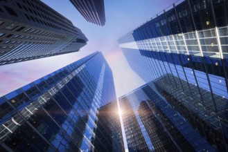 Toronto financial district skyline panorama with luxury condos and financial offices