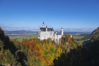 The majestic Neuschwanstein Castle rises above colorful autumn trees against a blue sky, Schwangau,