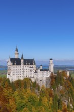 Neuschwanstein Castle stands majestically with autumnal forest in the foreground under clear skies,
