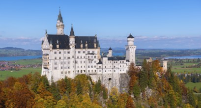 A detailed view of Neuschwanstein Castle with autumn colors and wide fields in the background,