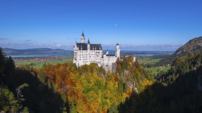 Neuschwanstein Castle overlooks a vast autumn landscape under clear skies, Schwangau, Königswinkel,