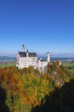 Neuschwanstein Castle towers majestically over autumnal forests against a blue sky, Schwangau,