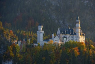 The magnificent Neuschwanstein Castle nestled in a colorful autumn forest against a mountain