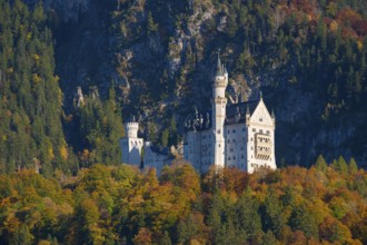 Neuschwanstein Castle surrounded by autumn-colored forests against a dramatic mountain backdrop,