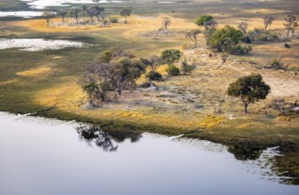Savanna landscape on the river, aerial view, Okavango Delta, Botswana