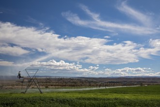 Alcova, Wyoming - Sprinklers water a crop growing in the Wyoming desert. Water in this otherwise
