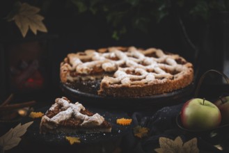 Apple cake with powdered sugar on a dark table with autumn decorations