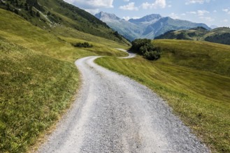Mountain landscape and winding road, Auenfeldalpe, Warth, Bregenzerwald, Vorarlberg, Alps, Austria