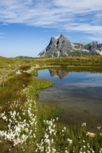 Mountain landscape and picturesque little lake, Saloberkopf, Widderstein, Warth, Bregenzerwald,