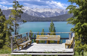 Argentina, Patagonia, Bariloche Island Isla Victoria and Arrayanes forest scenic landscapes