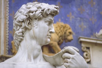 Copy of the David sculpture, detail, original is by the artist Michelangelo Buonarroti, Piazza