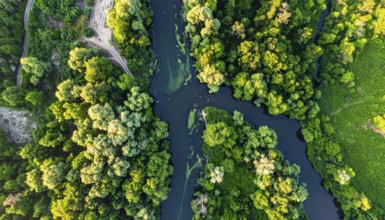 Ecology and environment concept. Green wilderness nature from above. Aerial view on meandering