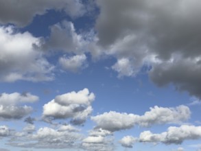 White clouds driven by approaching storm Cumulus above Stratocumulus loose to thick cloudiness