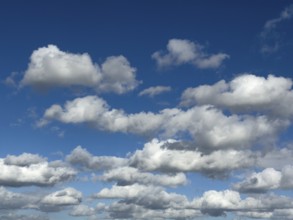 White clouds Cumulus and Stratocumulus driven by approaching storm cloudy against blue sky,
