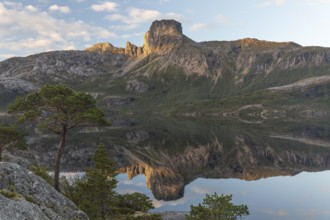 Morning dream over the quiet Steigtindvatnet near Bodø. Pine forest on the rock face at sunrise