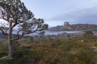 Magical morning fog on Steigtindvatnet in front of the majestic Steigtinden in Norway near Bodø.