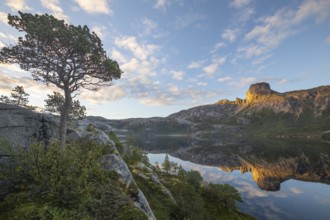 Morning dream over the quiet Steigtindvatnet near Bodø. Pine and reflection of Mount Steigtinden in