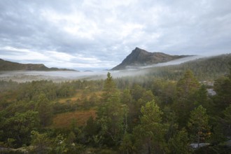 Magical morning fog on Steigtindvatnet in front of the majestic Litltind in Norway near Bodø