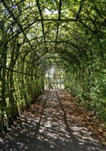 Pergola in Rheinsberg Castle Park, Ruppiner Land, Brandenburg, Germany