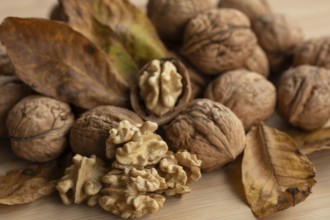 Fresh walnuts from Germany