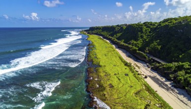 Green algae on the sandy shore of an ocean. Fascinating phenomenon of wild coastline with green