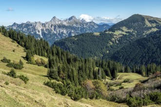 View from the Saalfelder Höhenweg to Schartschrofen and Rote Flüh, Tannheimer Tal, Allgäu Alps,