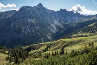 View from the Saalfelder Höhenweg to the mountains of the Allgäu Alps, Tannheimer Tal, Tyrol,