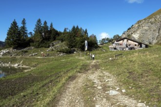 Obere Traualpe am Traualpsee, Allgäu Alps, Tannheim, Tyrol, Austria