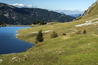 Traualpsee, right hiking trail to Obere Traualpe, Allgäu Alps, Tannheim, Tyrol, Austria